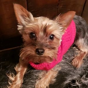 Meet your Posher, Christie